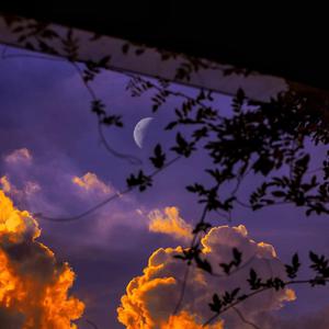 99视频精品全部国产
