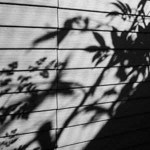 99视频精品全部国产
